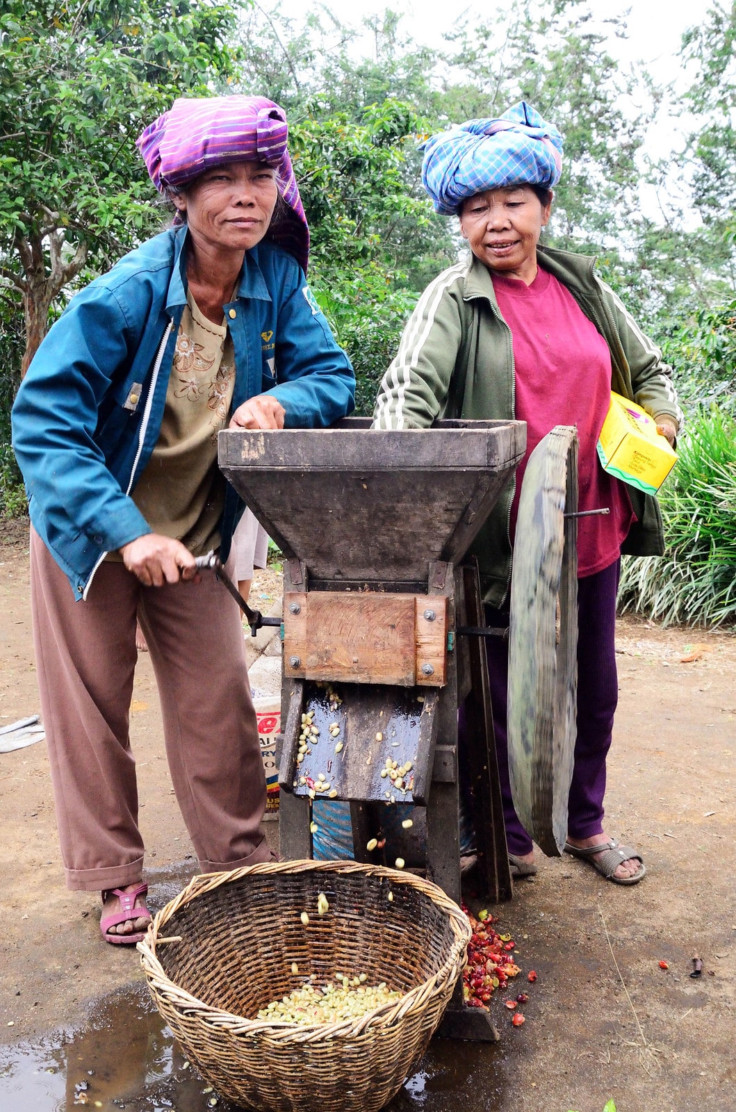 Xát vỏ cà phê tại Indonesia